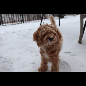 Meet your Posher, Kate